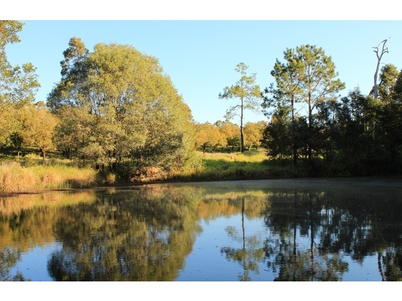 149 Davis Road, Cootharaba QLD 4565