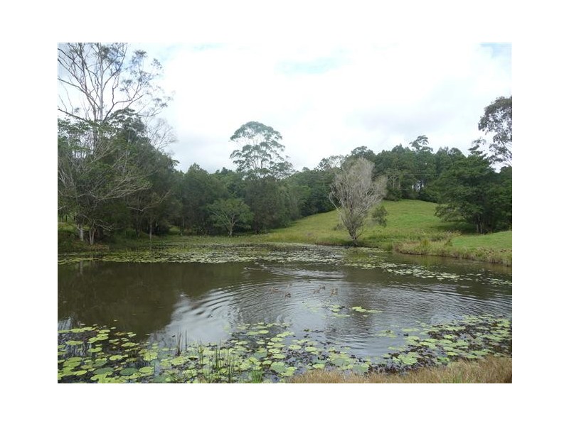 38 Evans Road, Cooroy QLD 4563