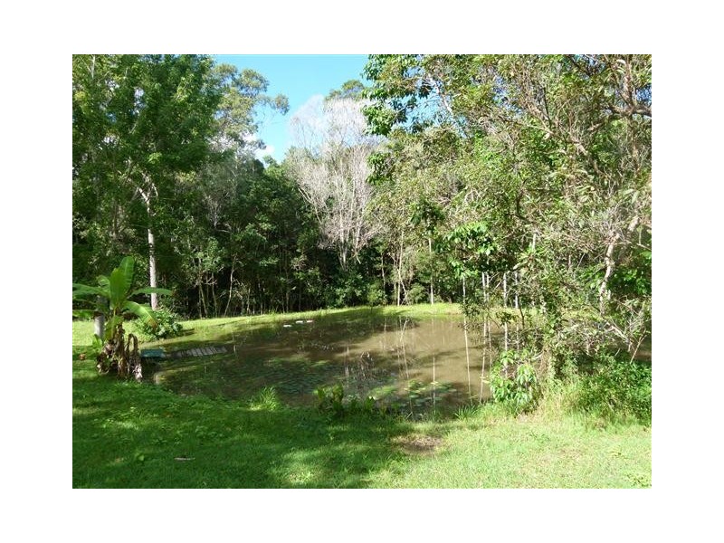 88 killawarra Road, Cooroy QLD 4563