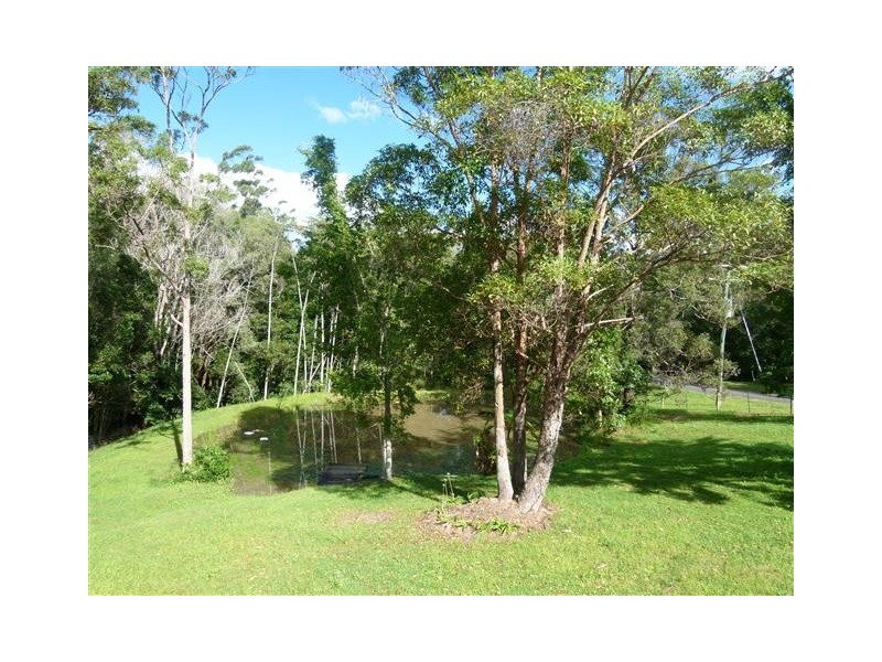 88 killawarra Road, Cooroy QLD 4563