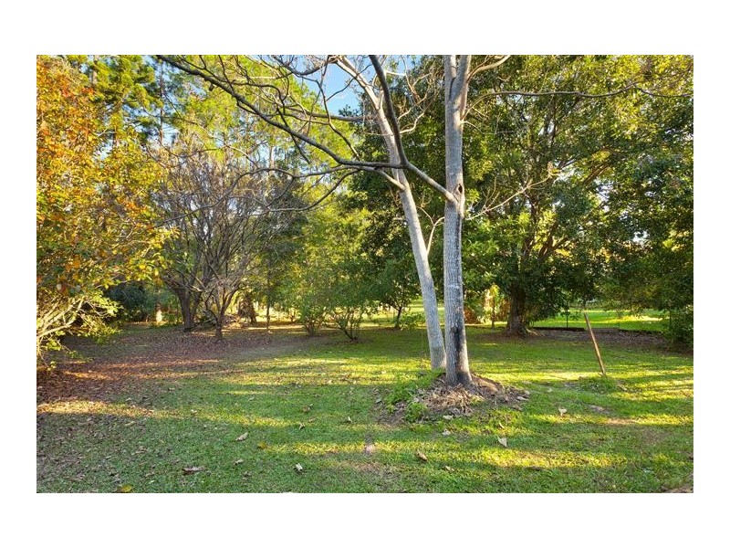 6 Crystal Street, Cooroy QLD 4563