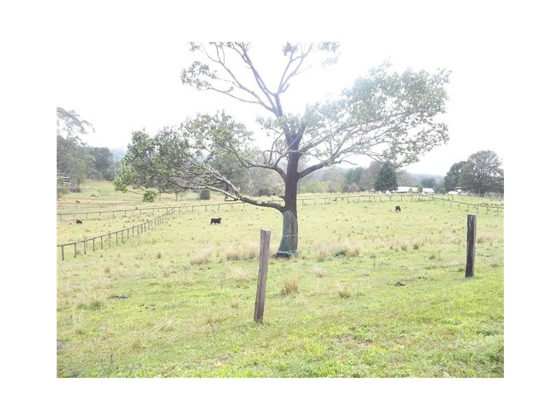 16 Strong Lane, Eerwah Vale QLD 4562