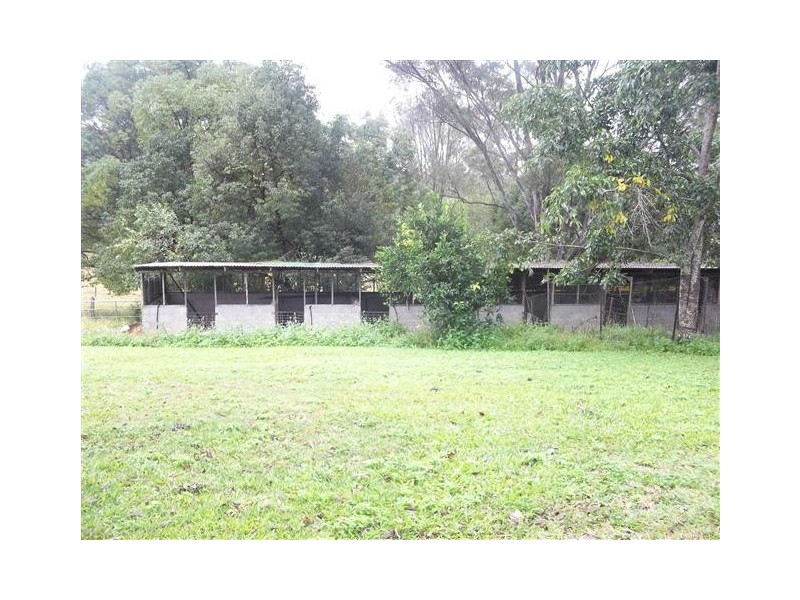 16 Strong Lane, Eerwah Vale QLD 4562