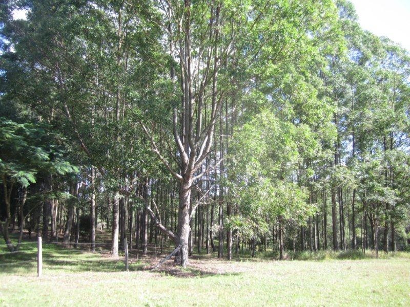 229 Traveston Road, Traveston QLD 4570