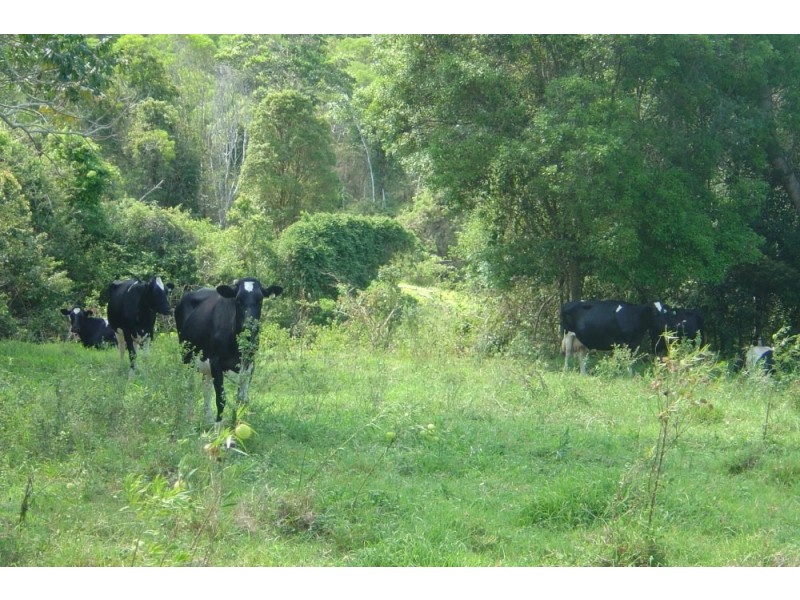 122 Andersons Road, Pomona QLD 4568