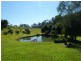 42 Black Mountain Rd, Cooroy QLD 4563