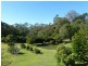 42 Black Mountain Rd, Cooroy QLD 4563