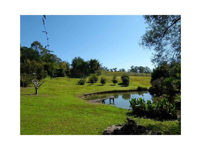 42 Black Mountain Rd, Cooroy QLD 4563