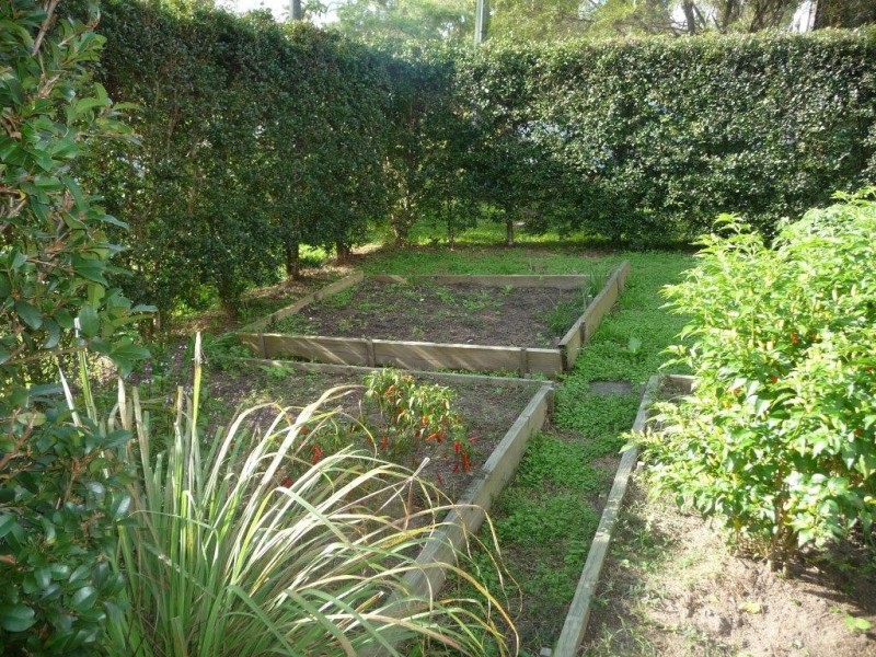 9 Olivine Street, Cooroy QLD 4563