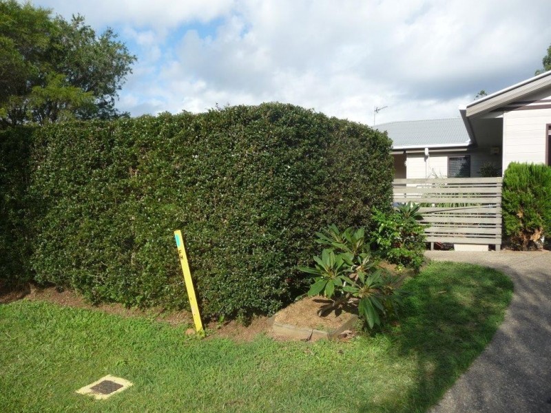 9 Olivine Street, Cooroy QLD 4563