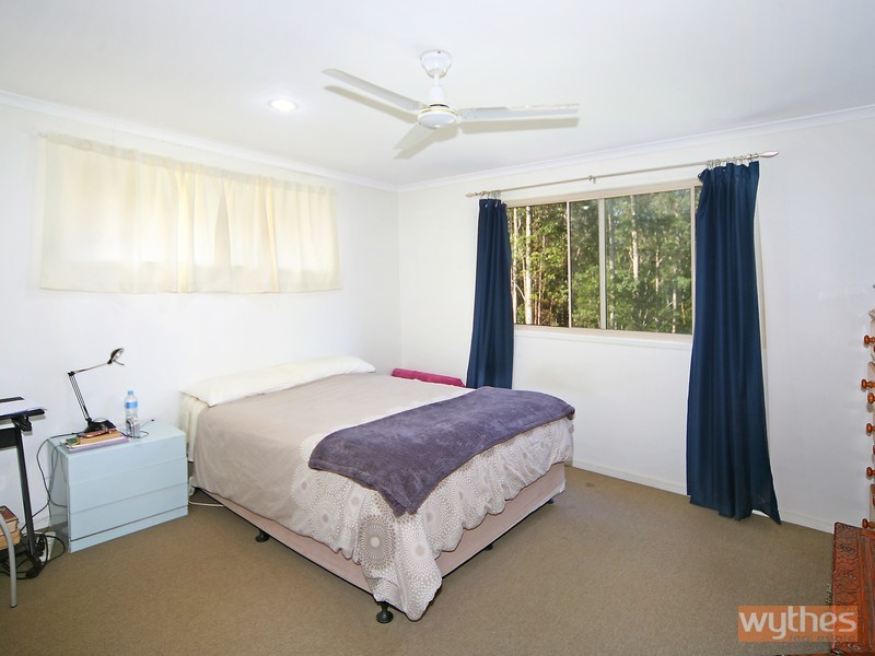 Black Mountain QLD 4563