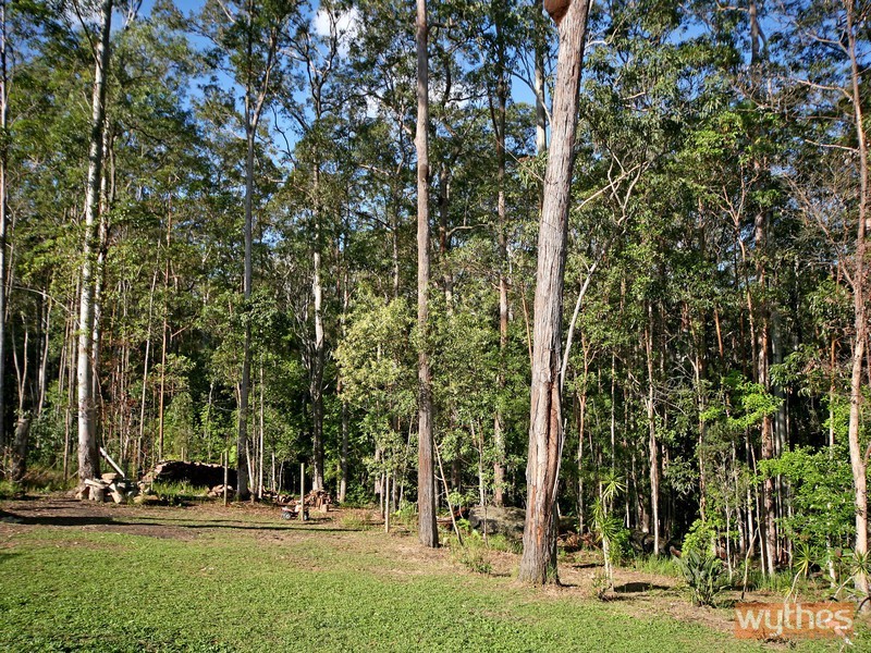 Black Mountain QLD 4563