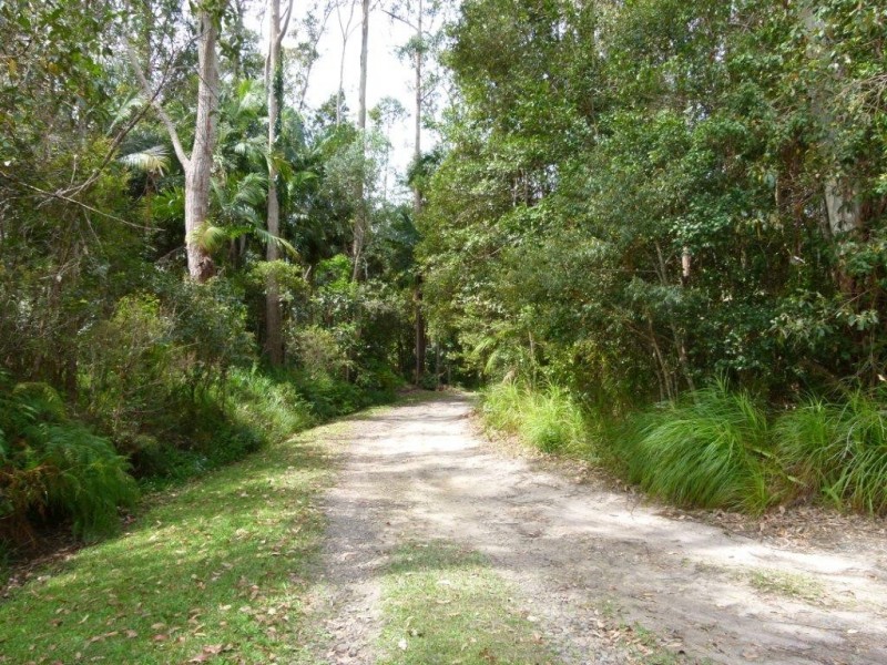 17 Palmsprings Lane, Cooroy QLD 4563