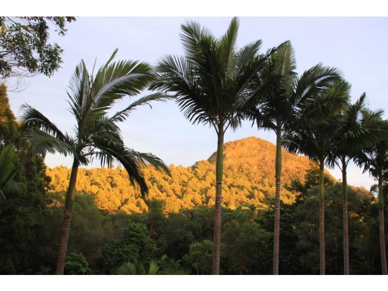 18 Casey Street, Cooran QLD 4569