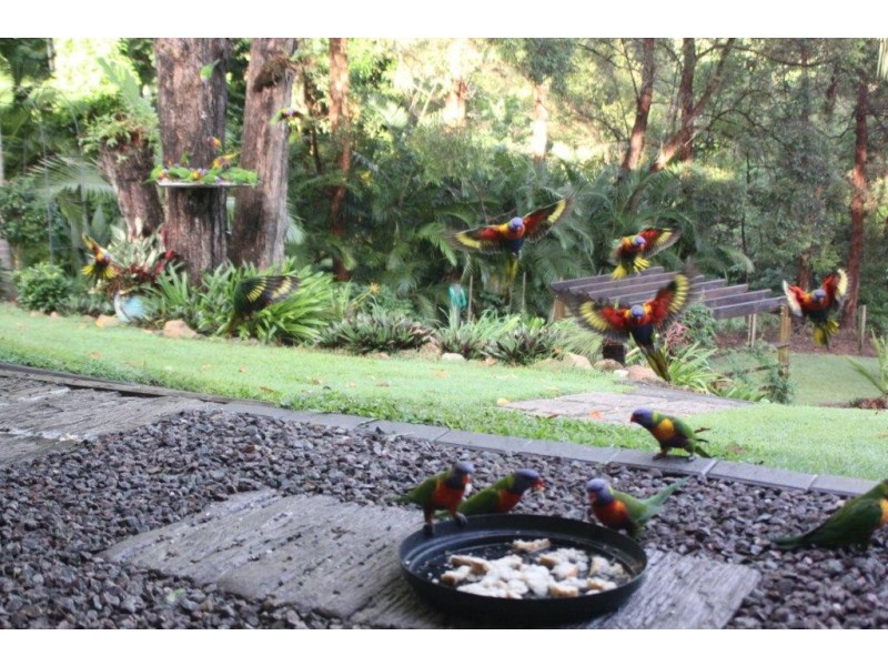 18 Casey Street, Cooran QLD 4569