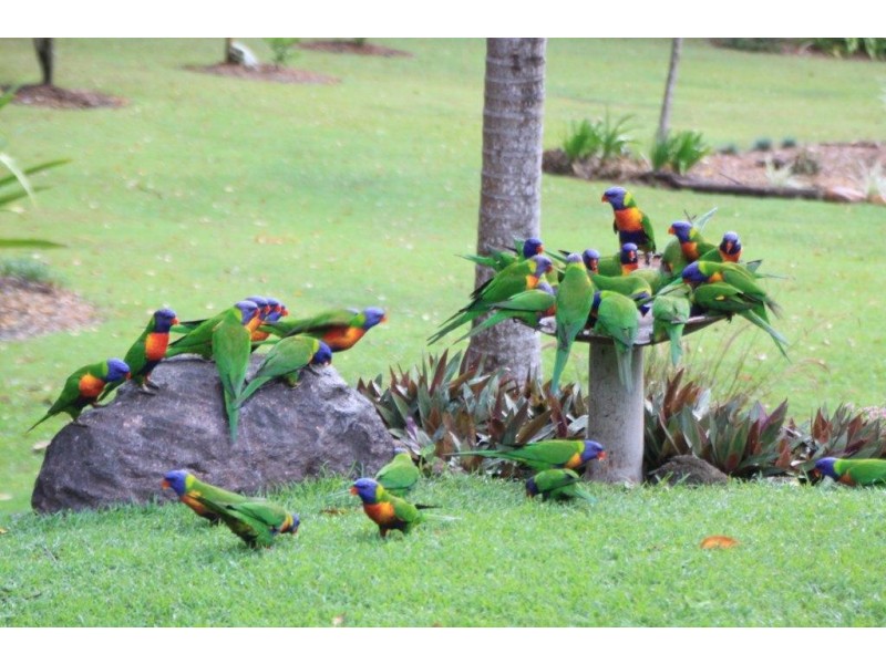 18 Casey Street, Cooran QLD 4569