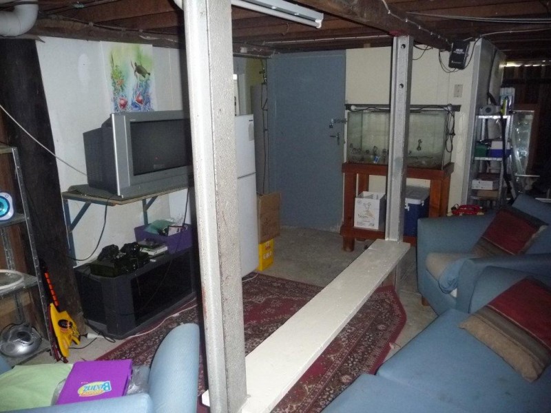 62 Kauri Street, Cooroy QLD 4563