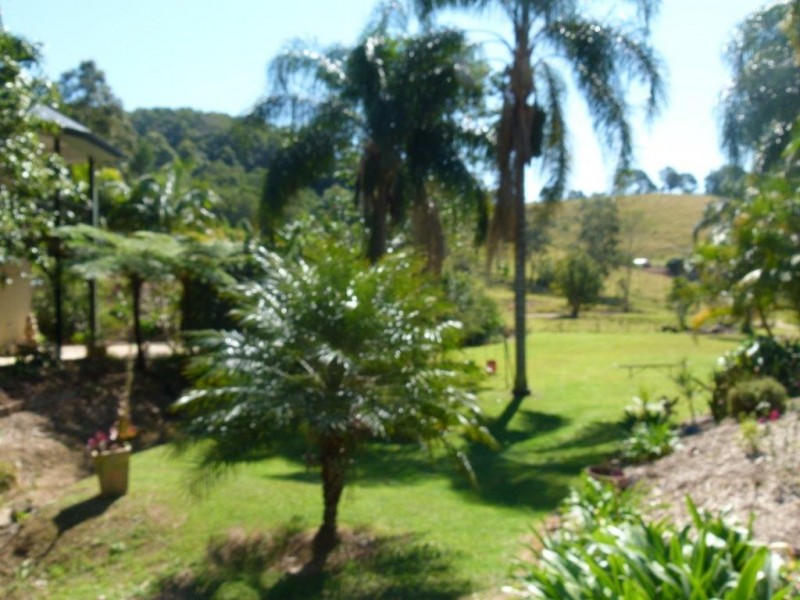 172 Wust Road, Cooroy QLD 4563