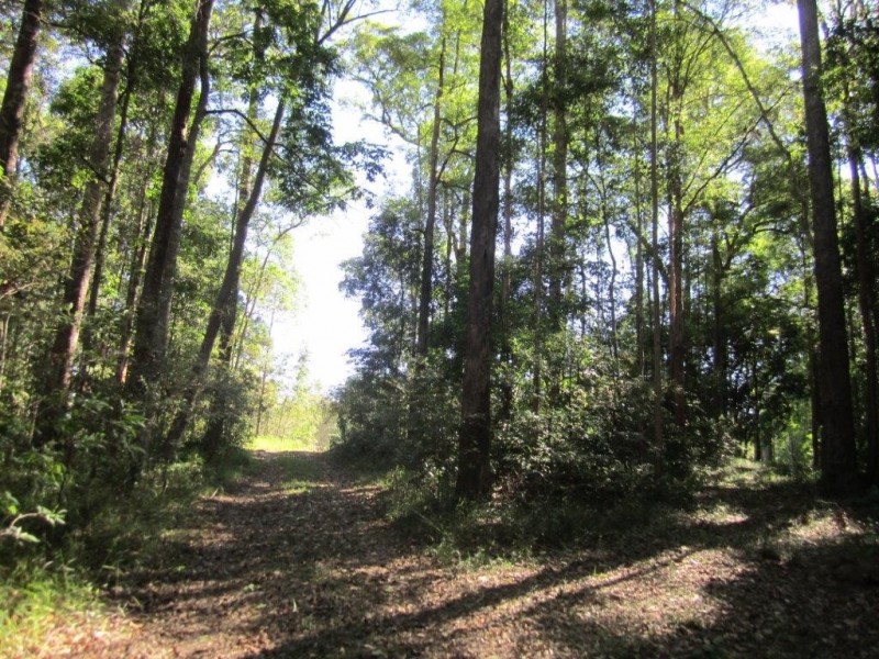 Lot 6 Figbird Court, Lake Macdonald QLD 4563
