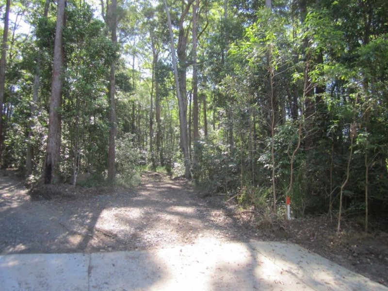 Lot 6 Figbird Court, Lake Macdonald QLD 4563