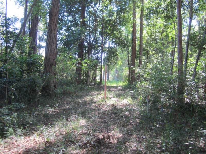 Lot 6 Figbird Court, Lake Macdonald QLD 4563