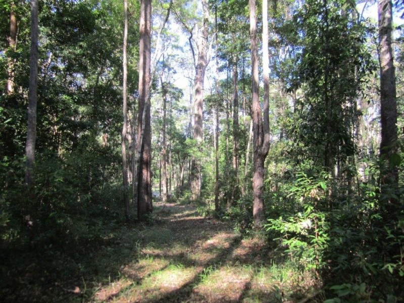 Lot 6 Figbird Court, Lake Macdonald QLD 4563