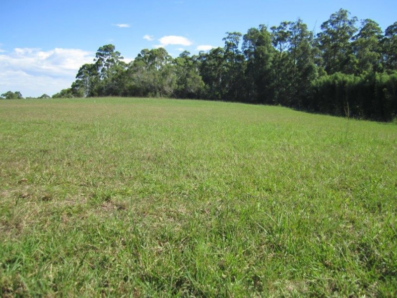 Lot 6 Figbird Court, Lake Macdonald QLD 4563