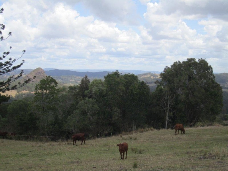 Cooran QLD 4569