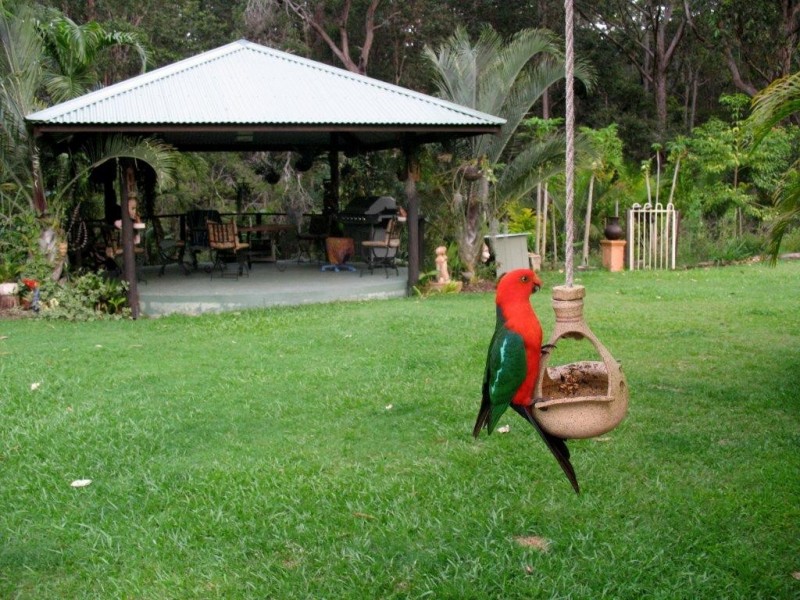 Boreen Point QLD 4565