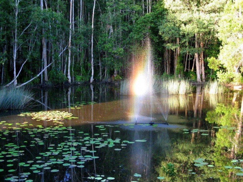 Boreen Point QLD 4565