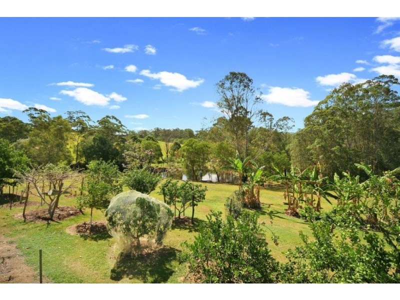 126 Blueberry Drive, Cooroy QLD 4563