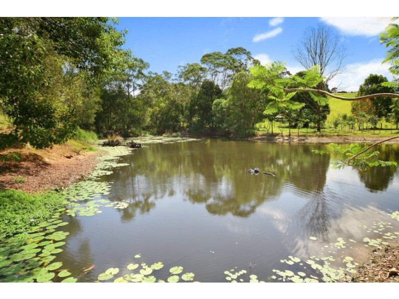 126 Blueberry Drive, Cooroy QLD 4563