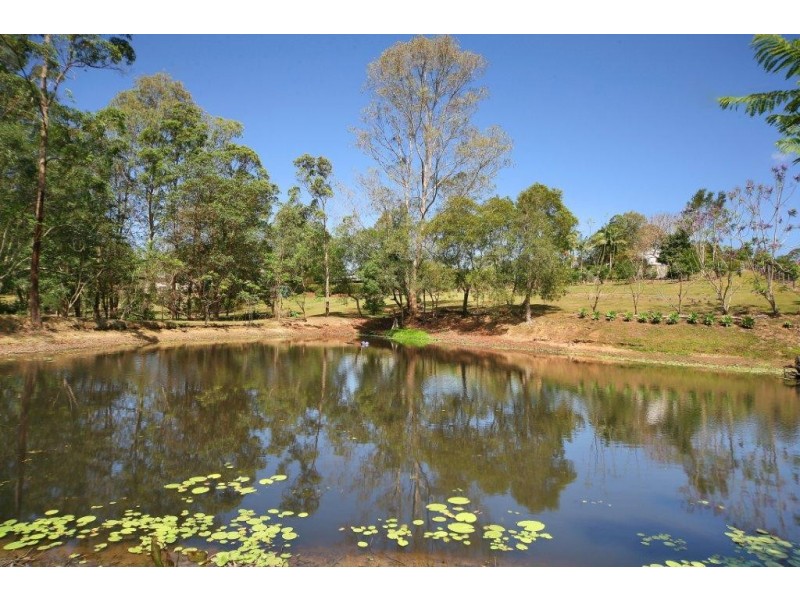 126 Blueberry Drive, Cooroy QLD 4563