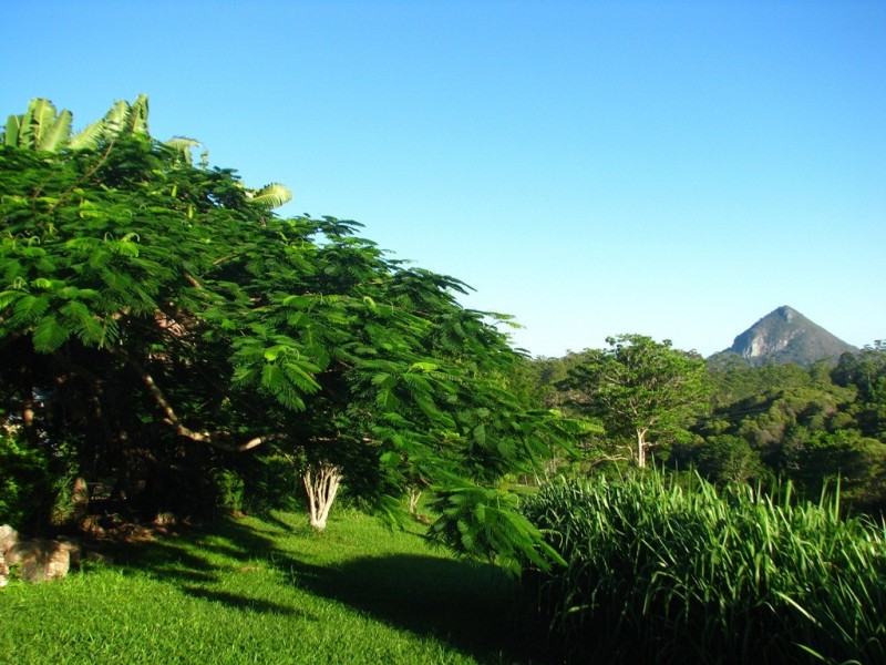 149 Black Mountain Range Road, Cooroy QLD 4563