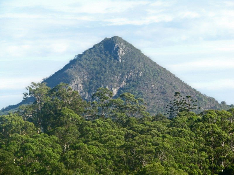 149 Black Mountain Range Road, Cooroy QLD 4563