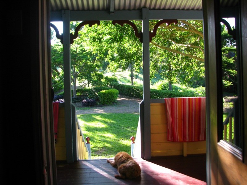 149 Black Mountain Range Road, Cooroy QLD 4563