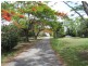 29 Rectory Street, Pomona QLD 4568