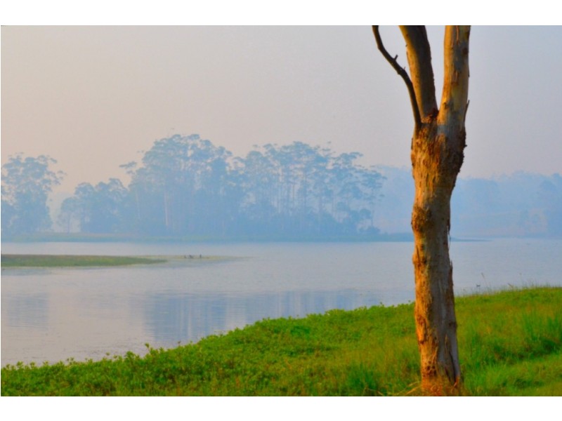 43 Gumboil Road, Tinbeerwah QLD 4563