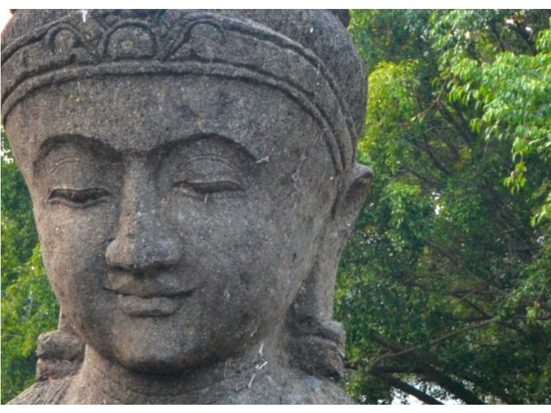 43 Gumboil Road, Tinbeerwah QLD 4563