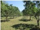 Pomona QLD 4568
