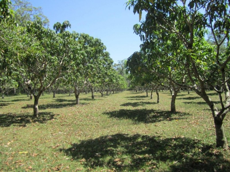 Pomona QLD 4568
