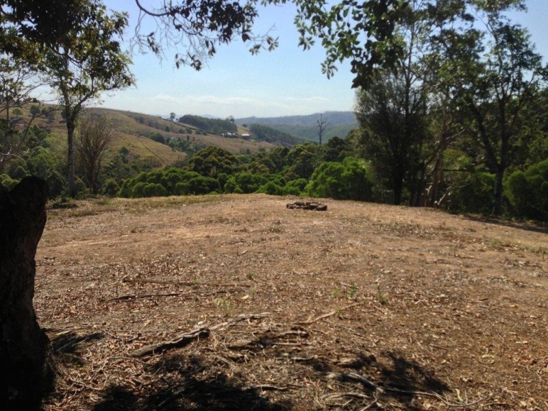 750 Cooroy Belli Creek Road, Cooroy QLD 4563