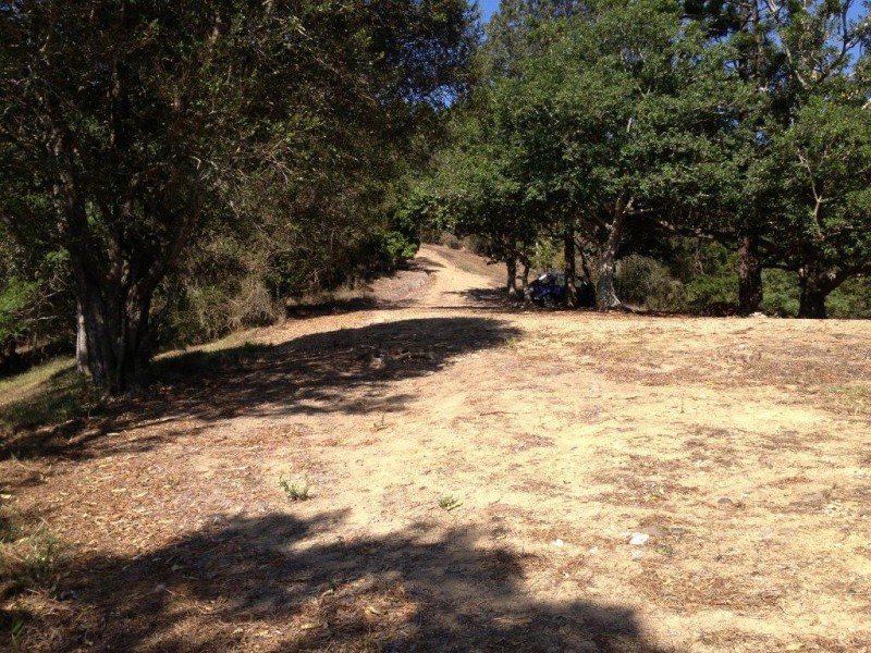 750 Cooroy Belli Creek Road, Cooroy QLD 4563