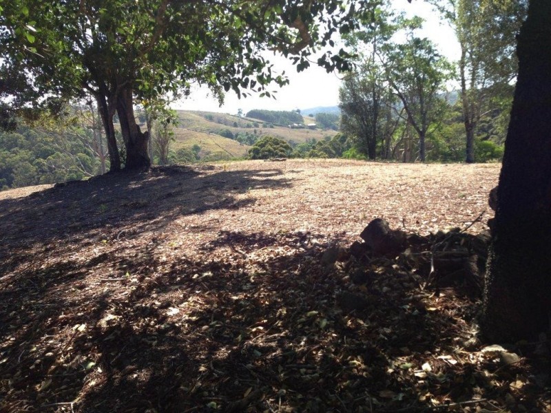 750 Cooroy Belli Creek Road, Cooroy QLD 4563