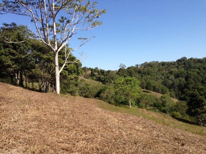 750 Cooroy Belli Creek Road, Cooroy QLD 4563