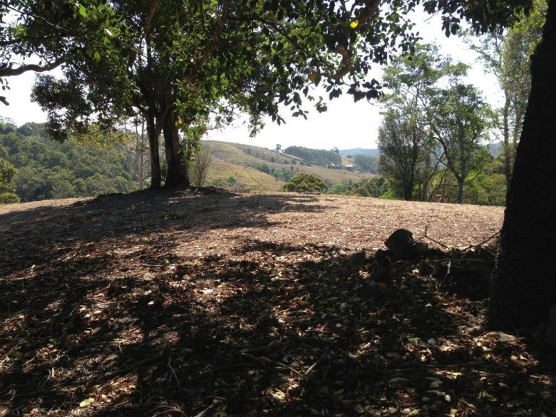 750 Cooroy Belli Creek Road, Cooroy QLD 4563