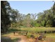 Cootharaba QLD 4565