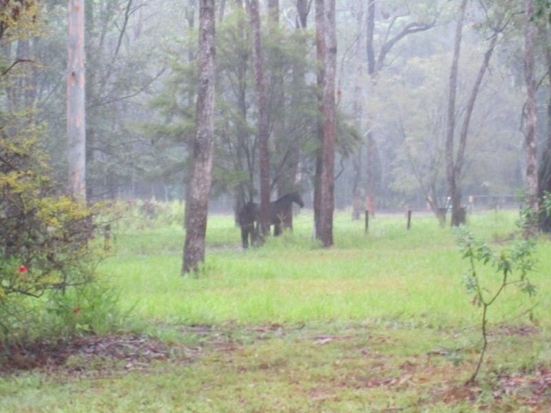 Cootharaba QLD 4565