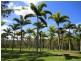 368 Kinmond Creek Road, Cootharaba QLD 4565