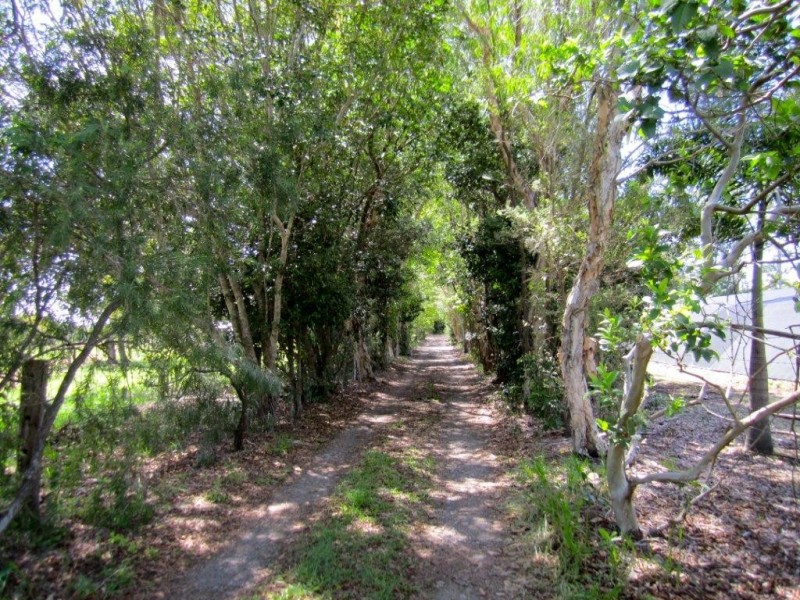 368 Kinmond Creek Road, Cootharaba QLD 4565